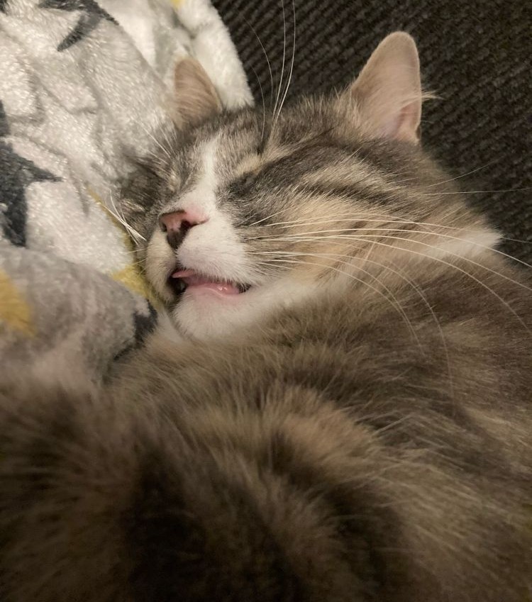 freya