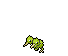 shiny doduo
